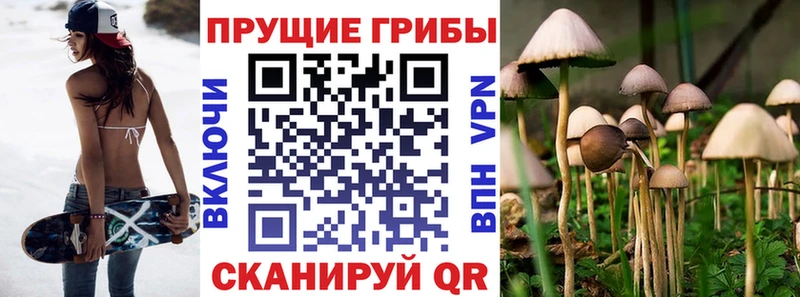 Псилоцибиновые грибы Magic Shrooms  Слюдянка 